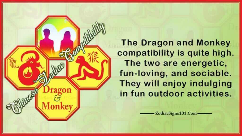 Dragon Monkey Compatibility Workable And Energetic ZodiacSigns101