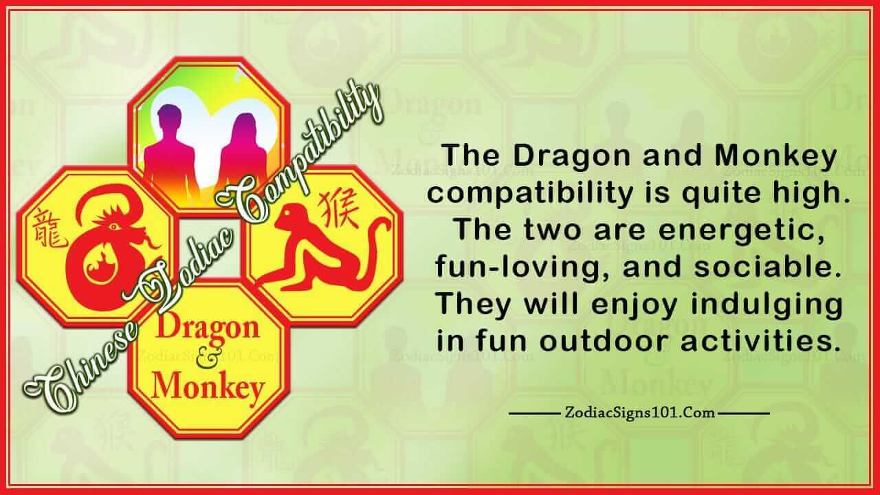 dragon monkey