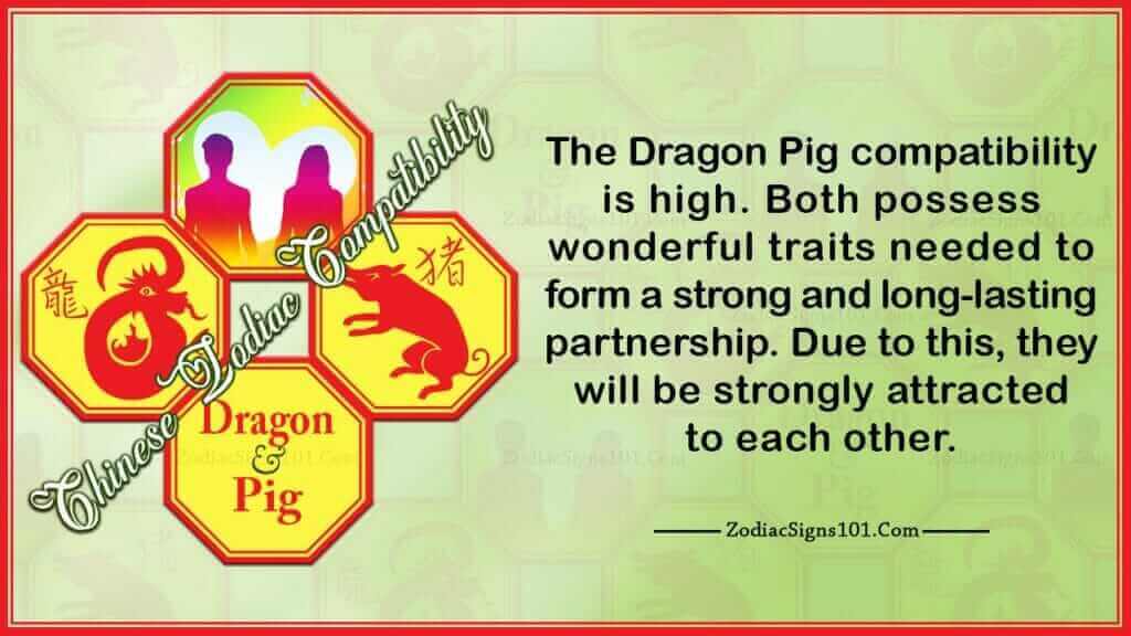 Dragon Pig