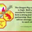 Dragon Pig