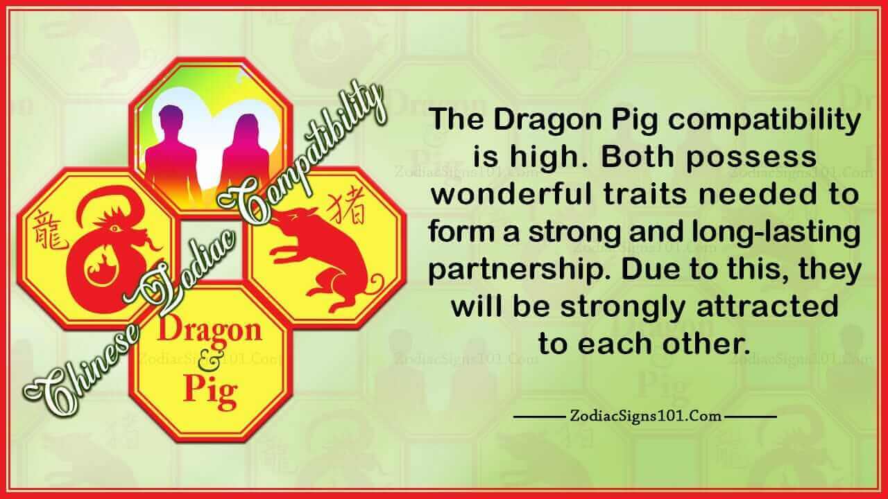dragon pig