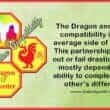 dragon rooster