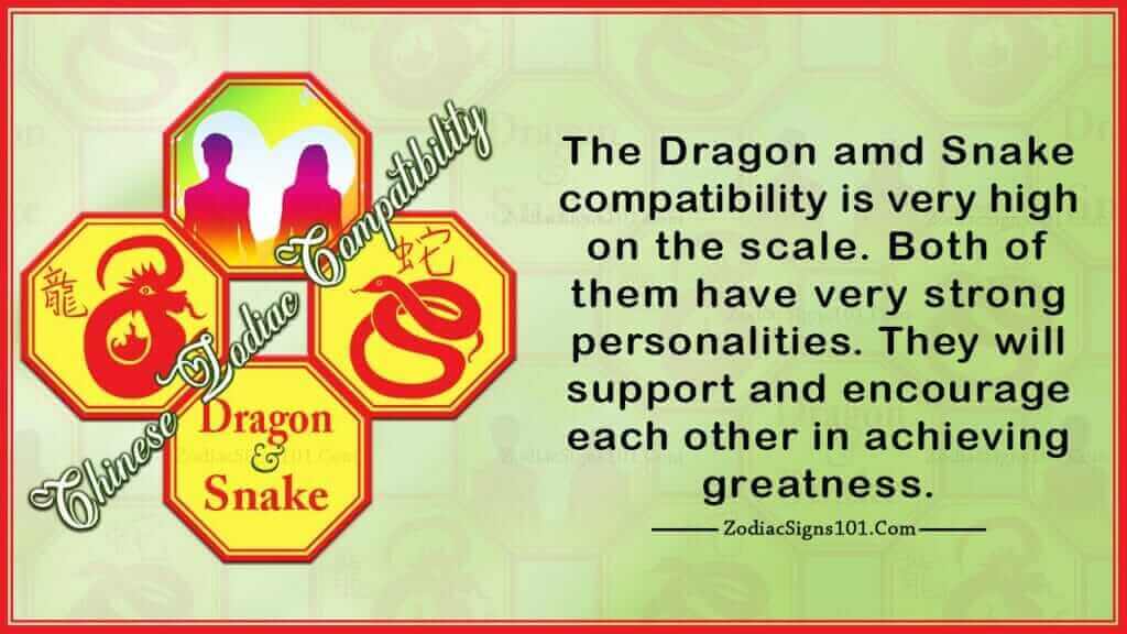 dragon snake