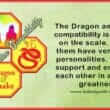 Dragon Snake