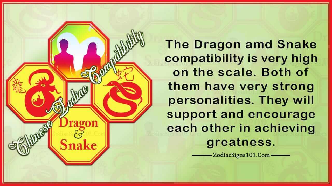 dragon snake
