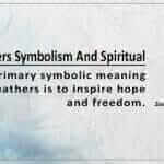 Feathers Symbolism