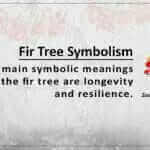 Fir Tree Symbolism