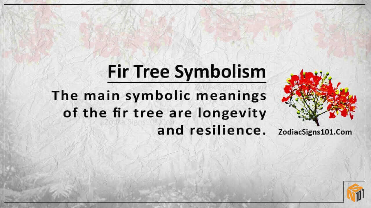 Fir Tree Symbolism