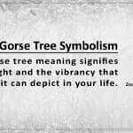 gorse tree symbolism