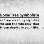 Gorse Tree Symbolism