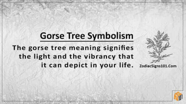 gorse tree symbolism