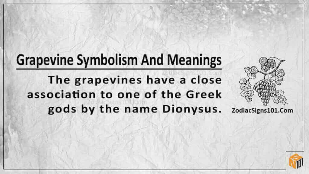 Grapevine Symbolism And Meaning