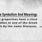 Grapevine Symbolism And Meaning