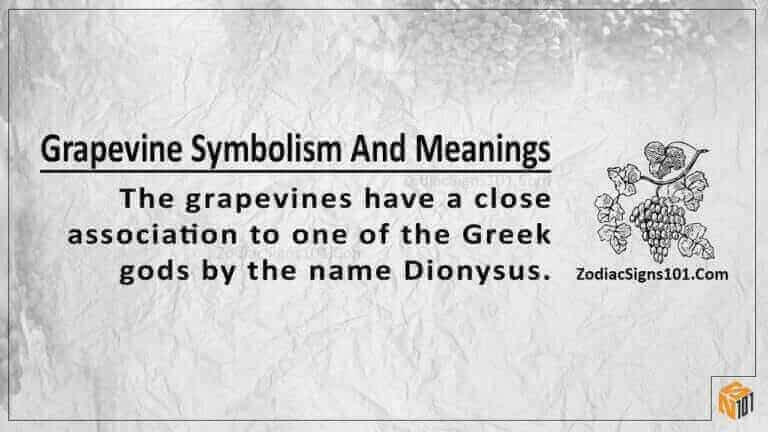 grapevine symbolism and meaning