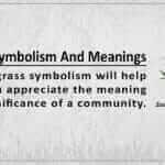 Grass Symbolism And Meaning