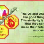 Ox Dragon