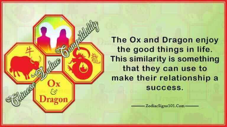 Ox Dragon