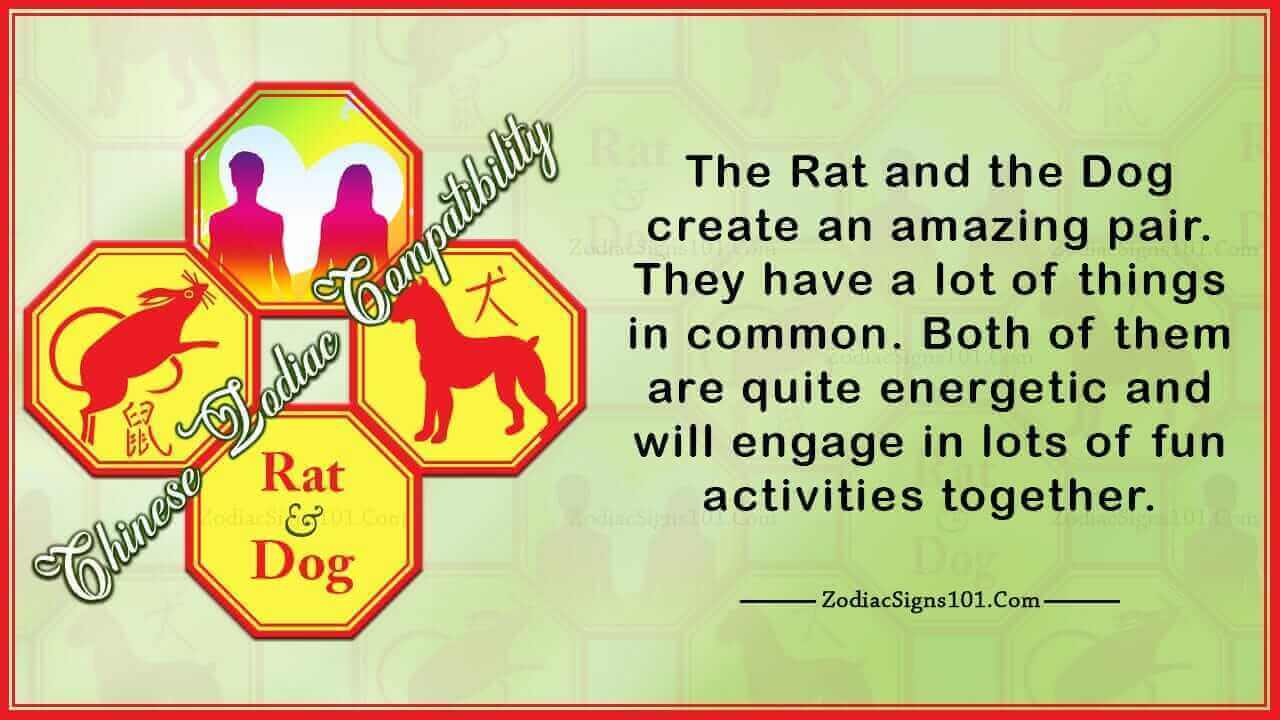 rat dog