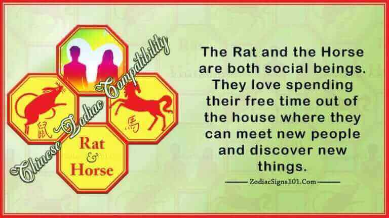 Rat Horse