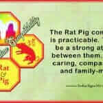 Rat Pig