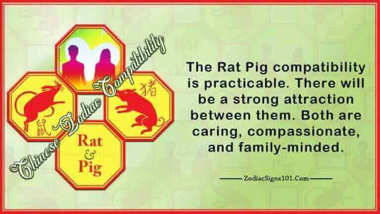 Rat Pig