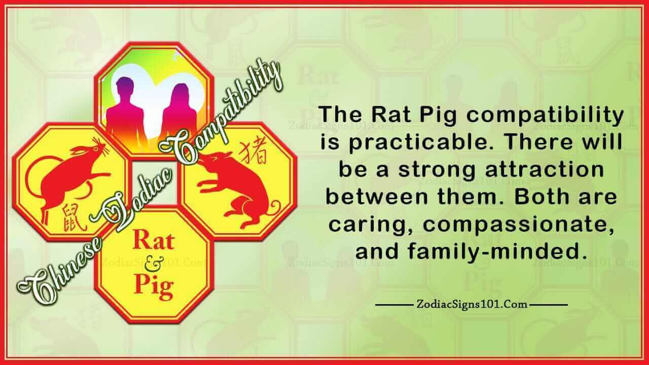 Rat Pig