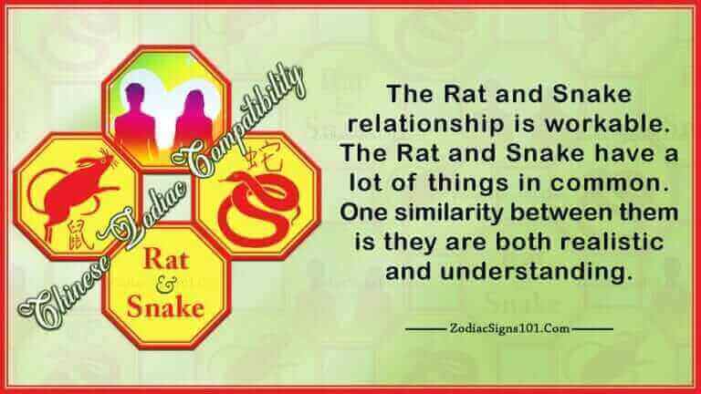 Rat Snake