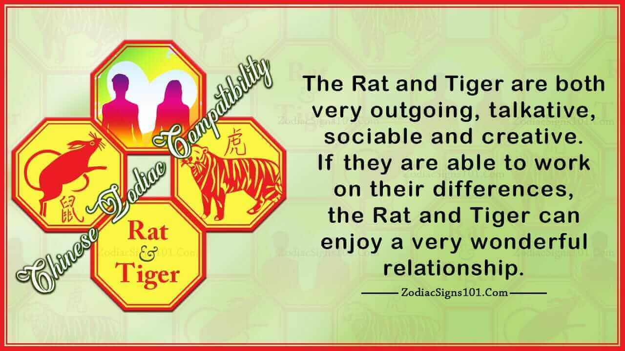 Rat Tiger