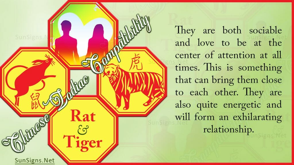 rat tiger
