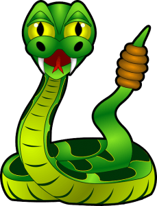 Dragon Snake Compatibility 