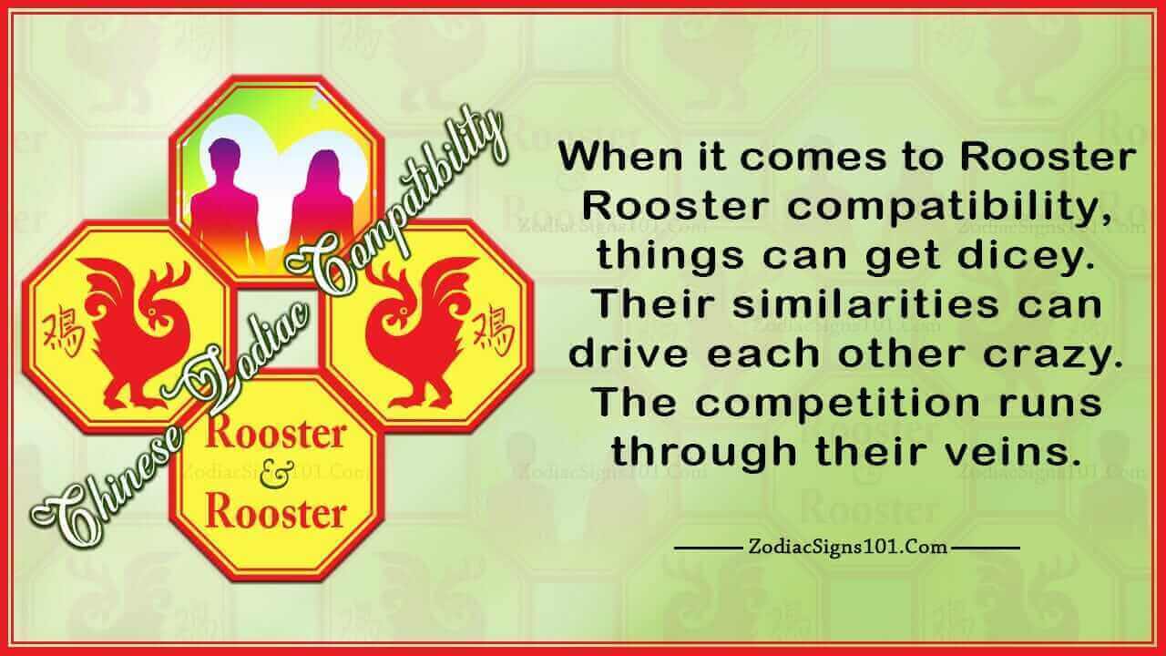 rooster rooster