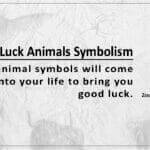 Good Luck Animals