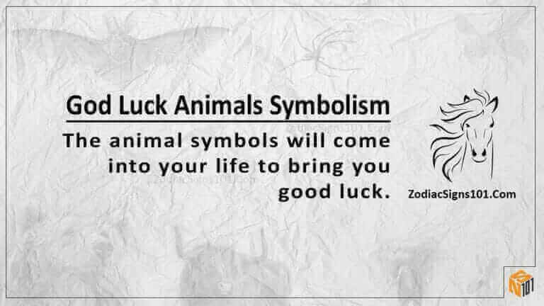 good luck animals