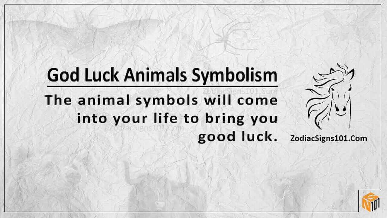 Good Luck Animals Symbolism: The Cast of Your Fate - ZodiacSigns101