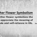 Heather Flower Symbolism