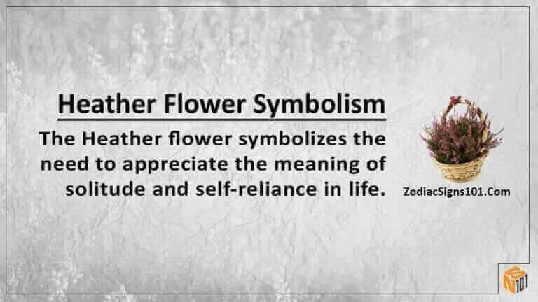 Heather Flower Symbolism