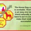 Horse Dog Compatibility