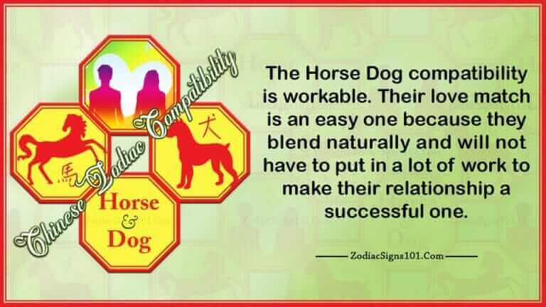 Horse Dog Compatibility