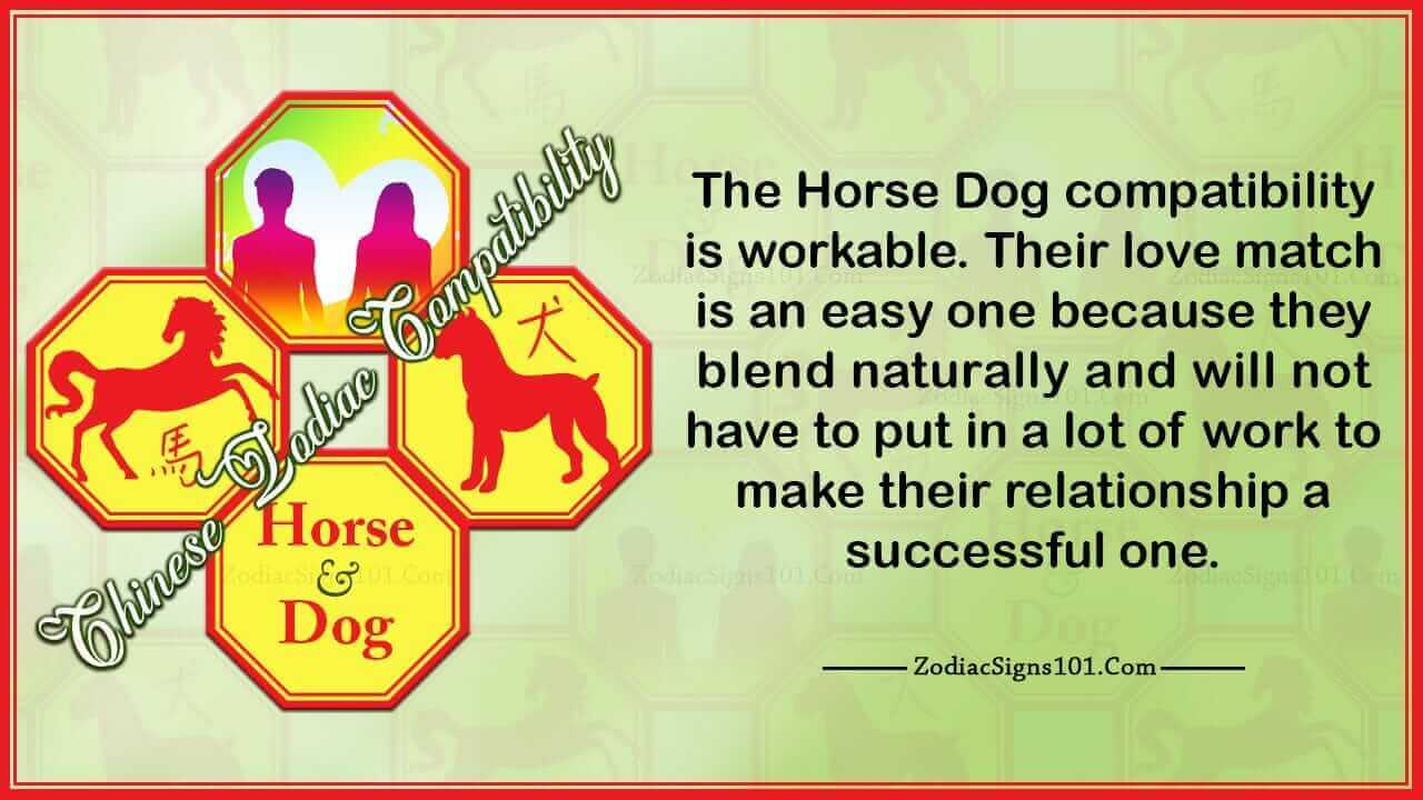 Horse Dog Compatibility