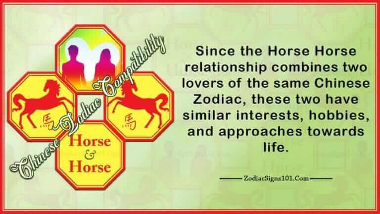 Horse Horse Compatibility