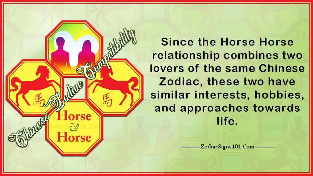 Horse Horse Compatibility