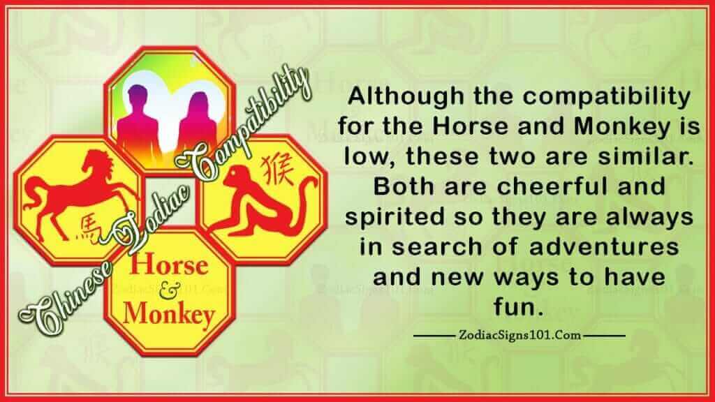 Horse Monkey Compatibility Too Much Work Needed ZodiacSigns101