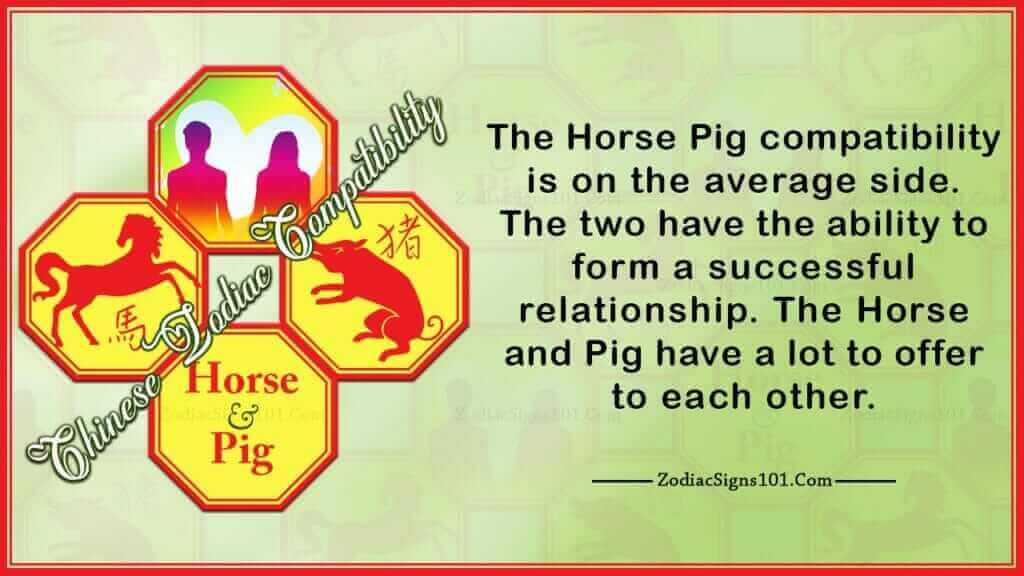 Horse Pig Compatibility