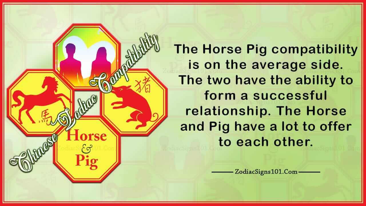 Horse Pig Compatibility