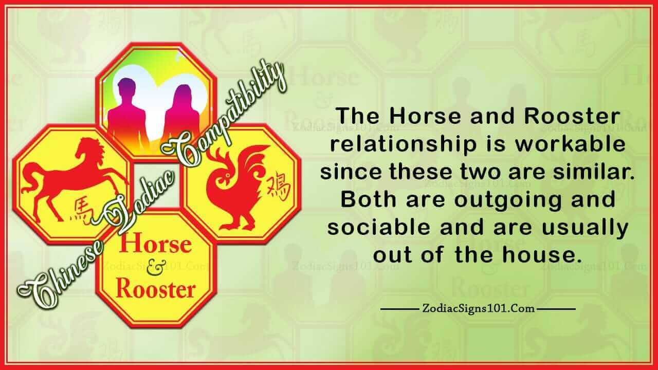Horse Rooster Compatibility