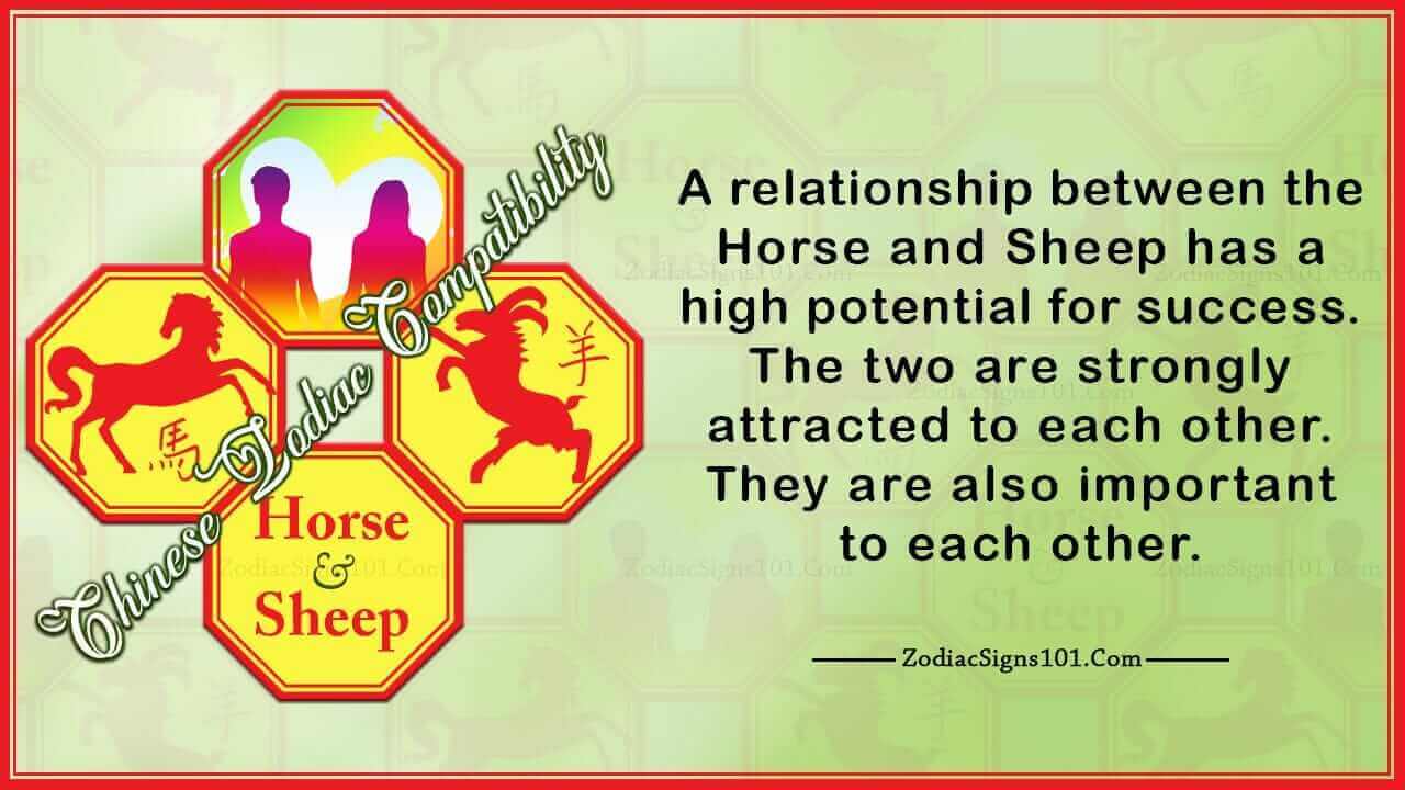 Horse Sheep Compatibility