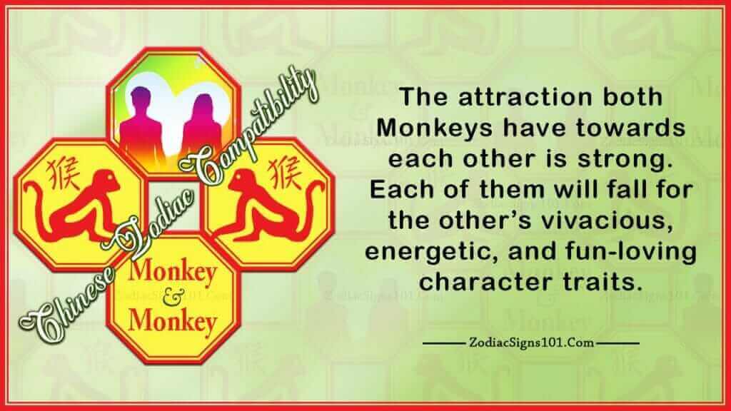 Monkey Monkey Compatibility
