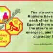 Monkey Monkey Compatibility