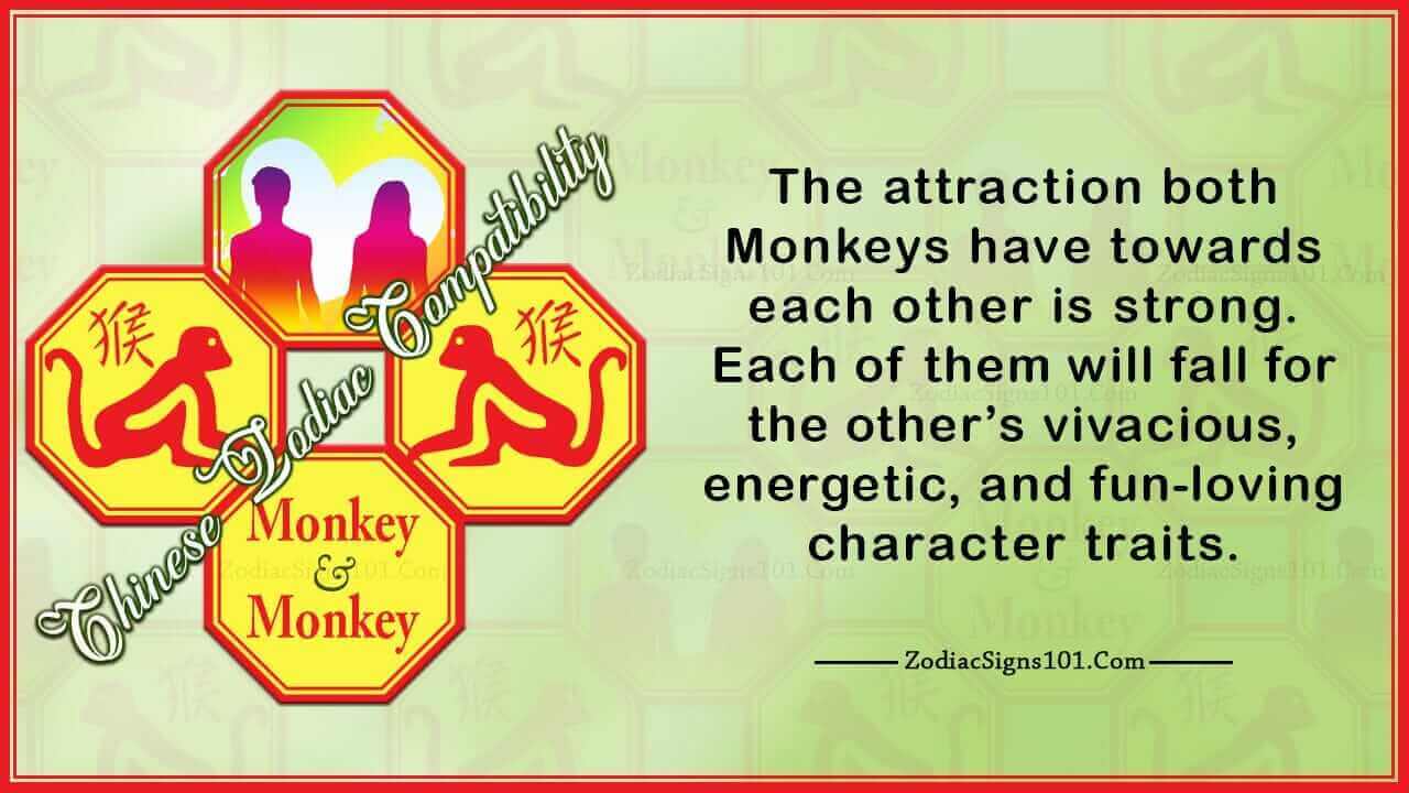 Monkey Monkey Compatibility