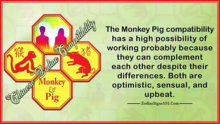 Monkey Pig Compatibility